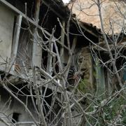 La maison de Sayad Abdelmalek suite