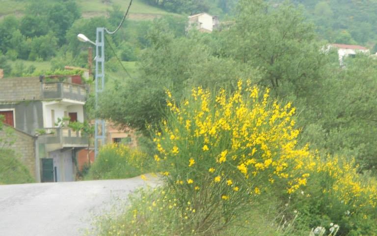 La route au printemps 