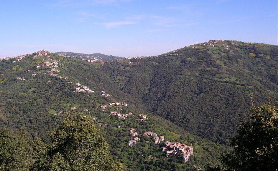 Taqa